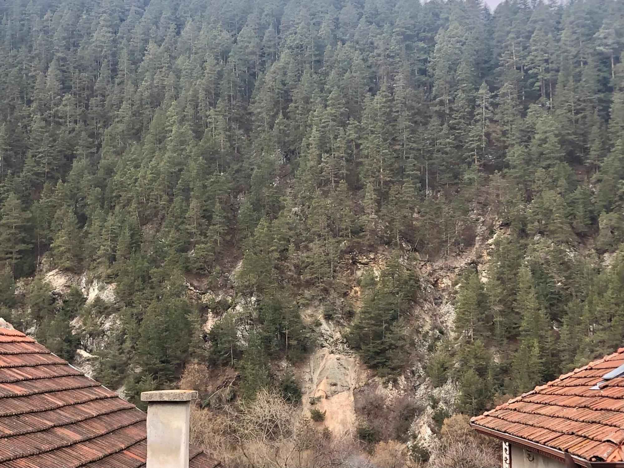 Niya Guest House Beli Iskar Dış mekan fotoğraf
